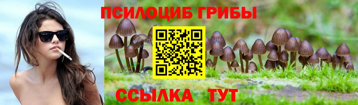 Псилоцибиновые грибы ЛСД Барнаул